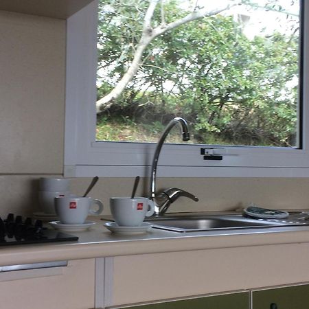 Casciano Di Murlo Camping Le Soline חדר תמונה