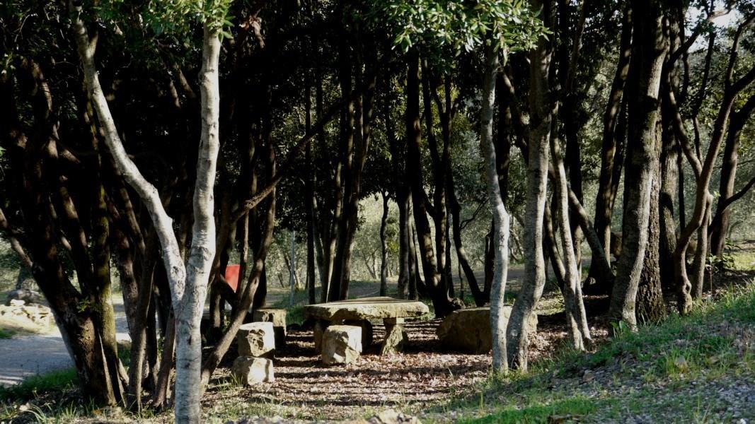 Casciano Di Murlo Camping Le Soline מראה חיצוני תמונה