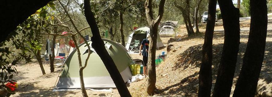 Casciano Di Murlo Camping Le Soline מראה חיצוני תמונה