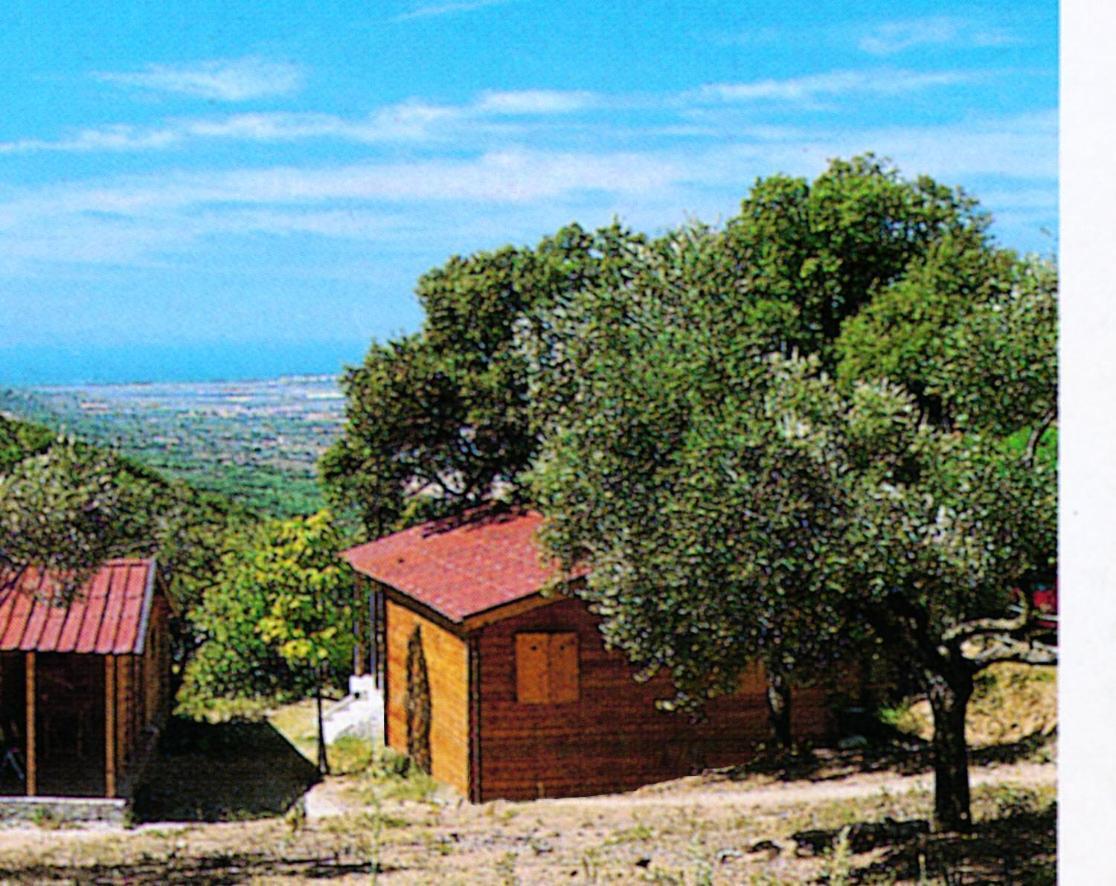 Casciano Di Murlo Camping Le Soline מראה חיצוני תמונה